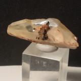 Titanite<br />Gava Valley, Genova Province, Liguria, Italy<br />33 x 12 mm<br /> (Author: Sante Celiberti)