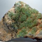 Fluorita<br />Afloramiento del Camí de Can Domenech, Serra de Roques Blanques, El Papiol, Comarca Baix Llobregat, Barcelona, Cataluña / Catalunya, España<br />9 x 8 cm<br /> (Autor: Joan Niella)