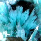 Auricalcita<br />Mina 79, Chilito, Zona Hayden, Distrito Banner, Montes Dripping Spring, Condado Gila, Arizona, USA<br />Campo de visión 5 mm.<br /> (Autor: Antonio P. López)