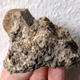 Magnesita<br />Cerro de la Sal, El Pinós/Pinoso, Comarca Vinalopó Medio, Alicante / Alacant, Comunidad Valenciana / Comunitat Valenciana, España<br />6,1 x 4,0 cm<br /> (Autor: carles)