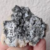 Magnesita<br />Cantera Azcárate (Azkarate), Eugui, Esteríbar, Comarca Auñamendi, Comunidad Foral de Navarra (Navarra), España<br />5,5 x 4,5 cm.<br /> (Autor: carles)