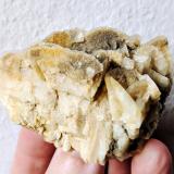 Magnesita, Dolomita<br />Cantera Azcárate (Azkarate), Eugui, Esteríbar, Comarca Auñamendi, Comunidad Foral de Navarra (Navarra), España<br />6,0 x 3,2 cm.<br /> (Autor: carles)