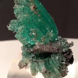 CalcantitaLe Cetine di Cotorniano Mine (Le Cetine Mine), Chiusdino, Siena Province, Tuscany, Italy48 x 29 mm (Autor: Sante Celiberti)