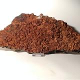 Siderite, Hematite, TalcMina Brosso, nivel Salvere, Cálea, Léssolo, Distrito Canavese, Provincia Ciudad metropolitana de Turín, Piamonte (Piemonte), Italia380 x 150 (Author: Sante Celiberti)