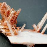 CerusitaTouissit, Touissit District, Jerada Province, Oriental Region, Morocco8 x 14 cm (Autor: Peter Seroka)