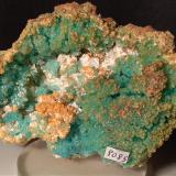 Calcantita, Pickeringita, BotryogenitaFenice Capanne Mine, Massa Marittima, Grosseto Province, Tuscany, Italy102 x 75 mm (Autor: Sante Celiberti)