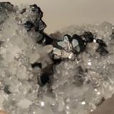 Bournonita, CuarzoVíboras Mine, Machacamarca, Machacamarca District, Cornelio Saavedra Province, Potosí Department, Bolivia64 x 61 mm (Autor: Sante Celiberti)