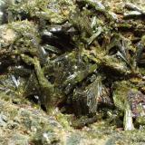 Epidota<br />Barranc de les Collades, Pantà d'Escales, Casterner de les Olles, Tremp, Comarca Pallars Jussà, Lérida / Lleida, Cataluña / Catalunya, España<br />6 x 4 cm<br /> (Autor: Joan Niella)