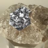 MolibdenitaMoly Hill Mine, La Motte, Abitibi RCM, Abitibi-Témiscamingue, Québec, Canada56 x 39 mm (Autor: Sante Celiberti)