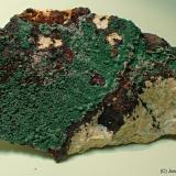 Conichalcita<br />Mina Linda Mariquita, El Molar, Comarca Priorat, Tarragona, Cataluña / Catalunya, España<br />85 x 50 mm<br /> (Autor: Joan Niella)