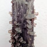 AragonitoLa Pesquera, Comarca La Manchuela Conquense, Cuenca, Castilla-La Mancha, Spain3,3 x 9,4 cm. (Autor: Carles)