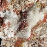 Dawsonite<br />Terlano (Terlan), Bolzano Province, Trentino-Alto Adige (Trentino-Südtirol), Italy<br />10 x 9 cm<br /> (Author: Volkmar Stingl)
