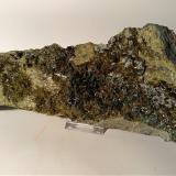 Diopside, EpidoteVal di Viù, Valles Lanzo (Valli di Lanzo), Provincia Ciudad metropolitana de Turín, Piamonte (Piemonte), Italia290 x 100 mm (Author: Sante Celiberti)
