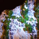 Andradite (variety demantoid), asbestos<br />Malenco Valley (Valmalenco), Sondrio Province, Lombardy, Italy<br />200 x 132 mm<br /> (Author: Sante Celiberti)