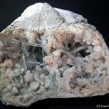 Celestina<br />Yacimiento de Celestinas, Torà, Comarca Solsonès, Lérida / Lleida, Cataluña / Catalunya, España<br />9 x 7 cm<br /> (Autor: Joan Niella)