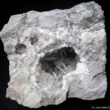 Celestina<br />Yacimiento de Celestinas, Torà, Comarca Solsonès, Lérida / Lleida, Cataluña / Catalunya, España<br />6 x 6 cm<br /> (Autor: Joan Niella)
