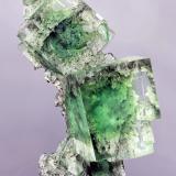 Fluorita<br />Xianghualing, Linwu, Prefectura Chenzhou, Provincia Hunan, China<br />25x50mm<br /> (Autor: Ramon A  Lopez Garcia)