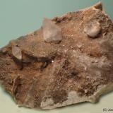 CalcitaPedrera Cal Ros (Pedrera Ballús), Cercs, Comarca Berguedà, Barcelona, Cataluña / Catalunya, España10 x 6 cm (Autor: Joan Niella)