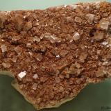 BaritaPedrera Coll de Nit 2 (Pedrera Frares), Riera d'Avencó, Vall d'Avencó, Aiguafreda, Comarca Vallès Oriental, Barcelona, Cataluña / Catalunya, España75 x 65 mm (Autor: Joan Niella)