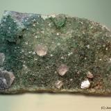 CalcitaPedrera Berta, Turó de Can Domènech, Serra de Roques Blanques, Sant Cugat del Vallès-El Papiol, Comarca Vallès Occidental / Baix Llobregat, Barcelona, Cataluña / Catalunya, España110 x 65 mm (Autor: Joan Niella)