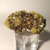 Sulphur, Pyrite<br />Niccioleta Mine, Massa Marittima, Grosseto Province, Tuscany, Italy<br />59 x 35 mm<br /> (Author: Sante Celiberti)