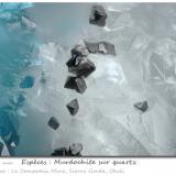 Murdochite on QuartzLa Compañía Mine, Caracoles, Sierra Gorda District, Tocopilla Province, Antofagasta Region, Chilefov 0.60 mm (Author: ploum)