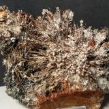 Stibnite, Stibiconite, Gypsum<br />Torre Carige, Capalbio, Grosseto Province, Tuscany, Italy<br />155 x 132 mm<br /> (Author: Sante Celiberti)