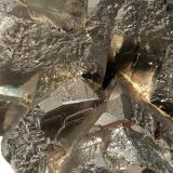 Pyrite<br />Gavorrano Mine, Gavorrano, Grosseto Province, Tuscany, Italy<br />113 x 92 mm<br /> (Author: Sante Celiberti)