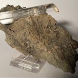 Gypsum, Pyrite<br />Niccioleta Mine, Massa Marittima, Grosseto Province, Tuscany, Italy<br />146 x 86 mm<br /> (Author: Sante Celiberti)