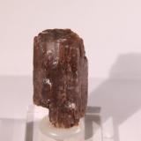 Aragonite<br />Spain<br />22mm x 40mm x 17mm<br /> (Author: Firmo Espinar)