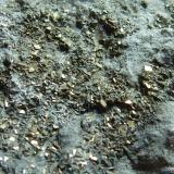 PiritaTorremocha del Campo, Comarca Sierra Norte de Guadalajara, Guadalajara, Castilla-La Mancha, Spain7 x 6 cm. (Autor: javier ruiz martin)