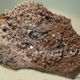 BaritaLa Cañada de Verich, Comarca del Bajo Aragón, Teruel, Aragón, España9 x 7 cm (Autor: Joan Niella)
