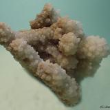 CalcitaMina Zaragoza, Bauma Griera, Queralbs, Comarca Ripollés, Gerona / Girona, Cataluña / Catalunya, España6 x 4 cm (Autor: Joan Niella)