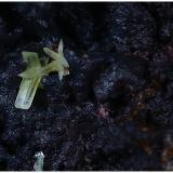 CerusitaCorta San Valentín, Sancti Espíritu, Sierra Minera de Cartagena-La Unión, La Unión, Comarca Campo de Cartagena, Región de Murcia (Murcia), EspañaEncuadre de foto15mm Cristales: 3.2 mm (Autor: Ángel Rodríguez Benavent)