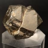 Pyrite<br />Gavorrano Mine, Gavorrano, Grosseto Province, Tuscany, Italy<br />38 x 35 mm<br /> (Author: Sante Celiberti)