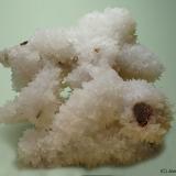 CalcitaMina Zaragoza, Bauma Griera, Queralbs, Comarca Ripollés, Gerona / Girona, Cataluña / Catalunya, España7 x 7 cm (Autor: Joan Niella)