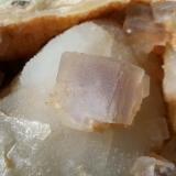 Fluorite on Quartz (variety chalcedony)<br />Nanshanxia Mine, Shaowu, Nanping Prefecture, Fujian Province, China<br />12 x 8 cm<br /> (Author: Volkmar Stingl)