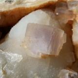 Fluorite on Quartz (variety chalcedony)Nanshanxia Mine, Shaowu, Nanping Prefecture, Fujian Province, China12 x 8 cm (Author: Volkmar Stingl)