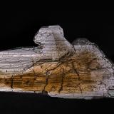 Quartz (variety smoky quartz)<br />Minas Gerais, Brazil<br />74 x 49 x 45 mm<br /> (Author: am mizunaka)