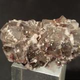Cinnabar, Fluorite, PyriteMina Morone (Mina Selvena), Monte Amiata, Castell'Azzara, Provincia Grosseto, Toscana, Italia29 x 19 mm (Author: Sante Celiberti)