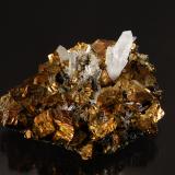 Chalcopyrite and quartz<br />Boldut Mine, Cavnic mining area, Cavnic, Maramures, Romania<br />5.5 cm x 7.5 cm.<br /> (Author: Michael Shaw)