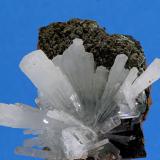 Hemimorfita<br />Distrito Santa Eulalia, Municipio Aquiles Serdán, Chihuahua, México<br />30x30mm<br /> (Autor: Ramon A  Lopez Garcia)