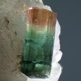 Elbaita<br />Taquaral, Itinga, Vale do Jequitinhonha, Minas Gerais, Brasil<br />cristal 8x22mm<br /> (Autor: Ramon A  Lopez Garcia)