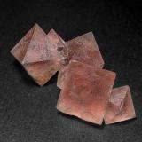 Fluorite<br />Huanggang Mines, Hexigten Banner (Kèshíkèténg Qí), Chifeng (Ulanhad), Inner Mongolia Autonomous Region, China<br />6.7 x 3.0 cm<br /> (Author: am mizunaka)