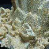 CelestinaConcesión Minerama II, Urbanización Puente Tablas, Jaén ciudad, Jaén, Comarca Metropolitana de Jaén, Andalucía, España5 x 4 cm. (Autor: javier ruiz martin)