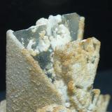 CelestinaConcesión Minerama II, Urbanización Puente Tablas, Jaén ciudad, Jaén, Comarca Metropolitana de Jaén, Andalucía, España5 x 4 cm. (Autor: javier ruiz martin)