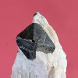 Franklinita<br />Sterling Hill, Ogdensburg, Distrito minero Franklin, Condado Sussex, New Jersey, USA<br />cristal 12 mm<br /> (Autor: Ramon A  Lopez Garcia)