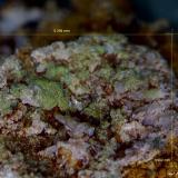 Piromorfita.<br />Mina de Vallclara, Mas de lAnglès, Vallclara, Comarca Conca de Barberà, Tarragona, Cataluña / Catalunya, España<br />5´294 x 3´902 mm.<br /> (Autor: Jesus Franquesa Baucells)
