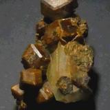 Granate (Grupo)<br />Costabona, Molló / Setcases, Comarca Ripollès, Gerona / Girona, Cataluña / Catalunya, España<br />25x9 mm.<br /> (Autor: Jesus Franquesa Baucells)