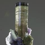 Elbaíta<br />Mina Xanda, Virgem da Lapa, Vale do Jequitinhonha, Minas Gerais, Brasil<br />cristal 12x50 mm<br /> (Autor: Ramon A  Lopez Garcia)